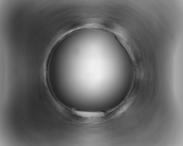 X0000089681430200707051558