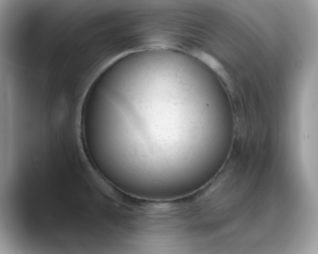 X0000089681431200707051558
