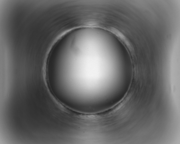 X0000089681432200707051558