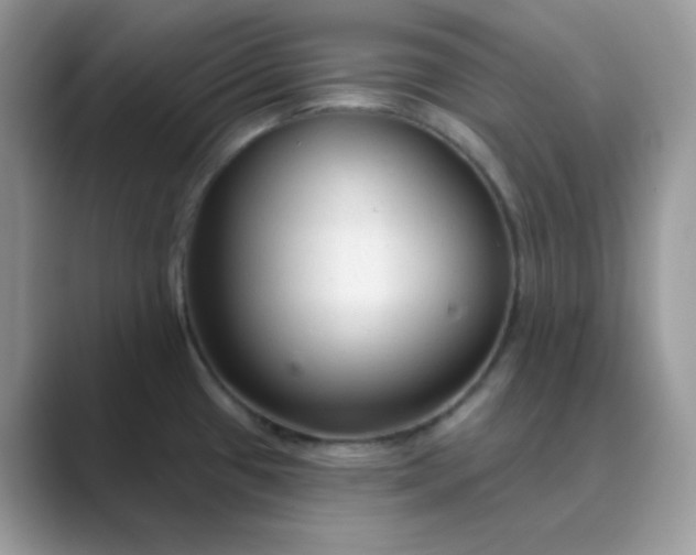 X0000089681433200707051558