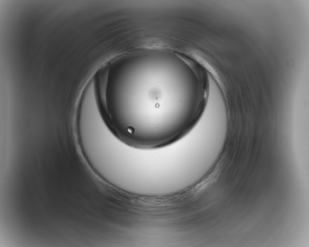 X0000089681434200707051558