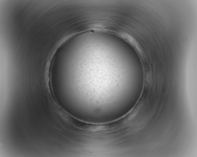 X0000089681435200707051558