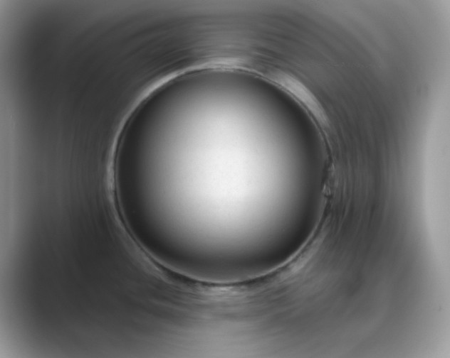 X0000089681436200707051558