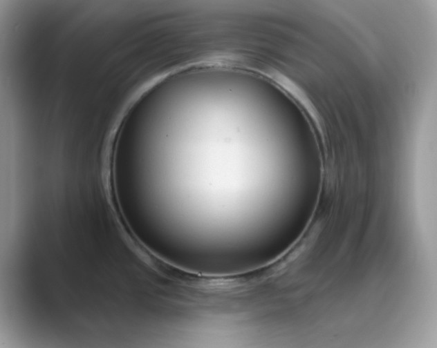 X0000089681437200707051558