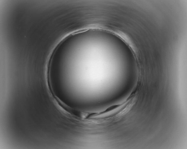 X0000089681438200707051558