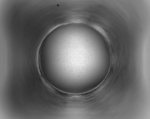 X0000089681439200707051558