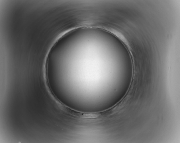 X0000089681440200707051558
