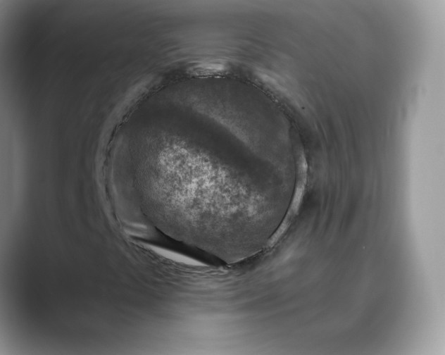 X0000089681441200707051558