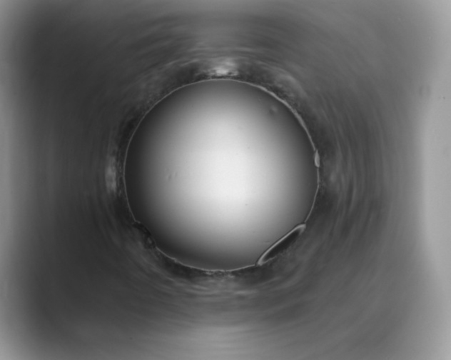 X0000089681442200707051558