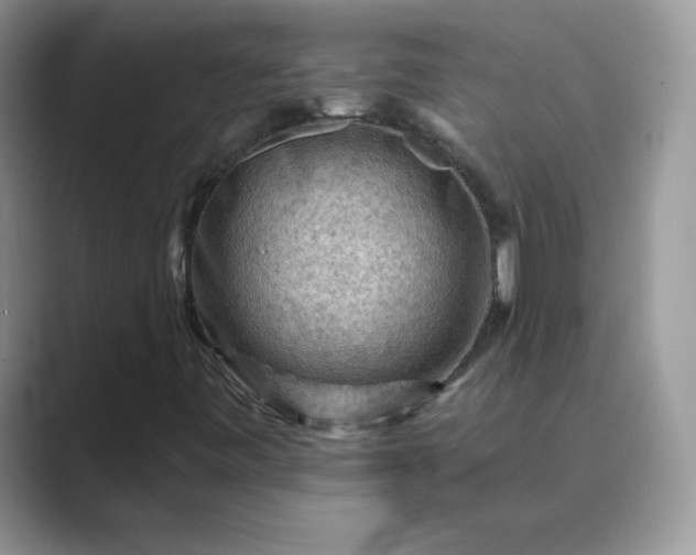 X0000089681443200707051558