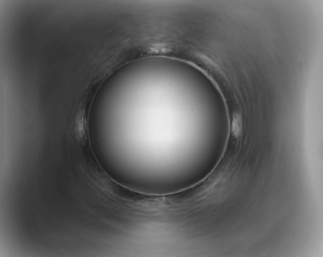 X0000089681444200707051558