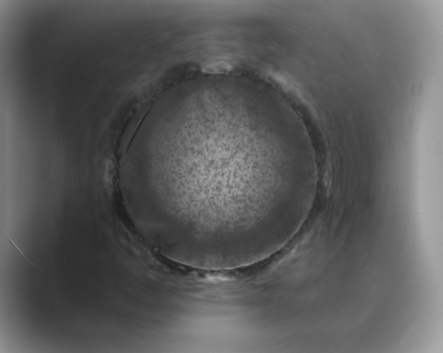 X0000089681445200707051558