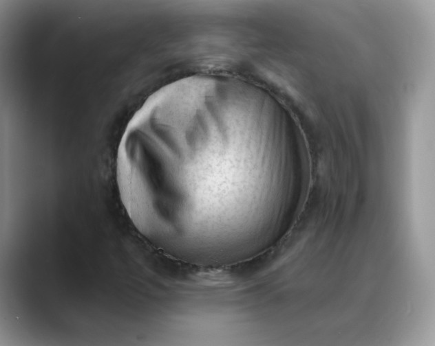 X0000089681447200707051558