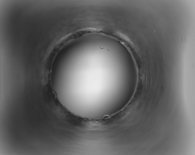 X0000089681448200707051558