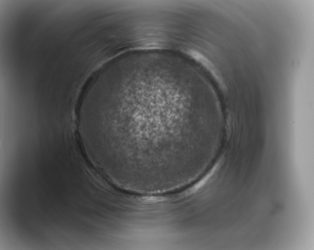 X0000089681449200707051558