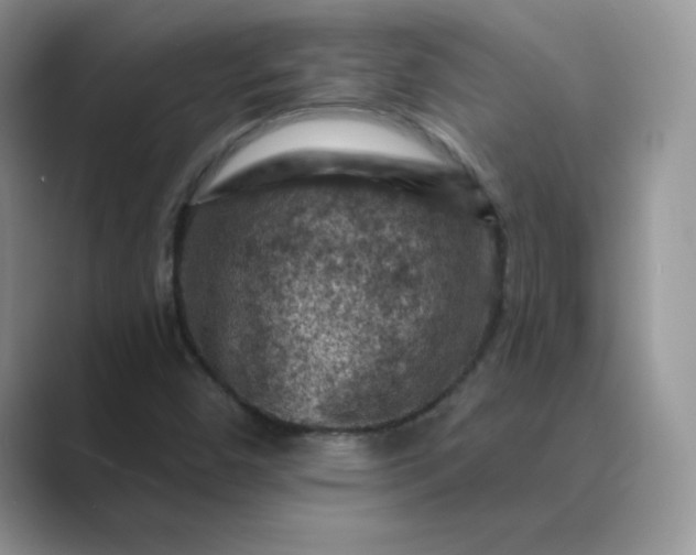 X0000089681450200707051558