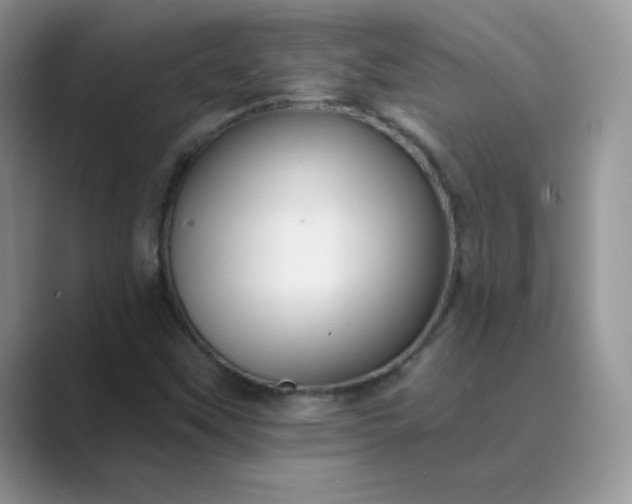 X0000089681451200707051558
