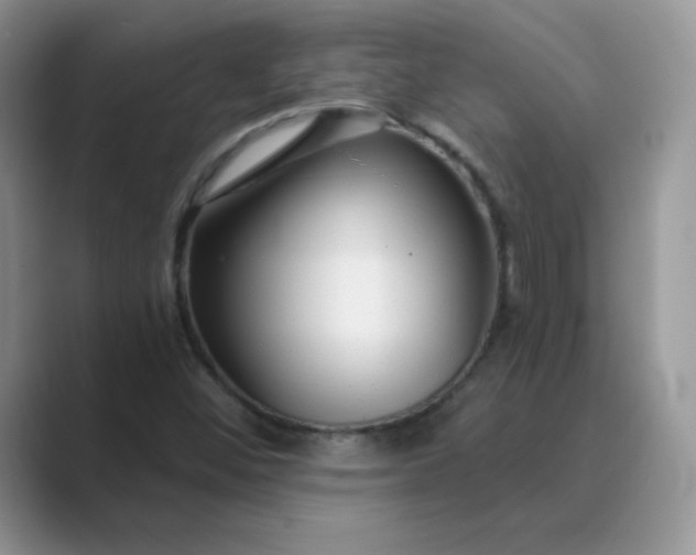 X0000089681452200707051558