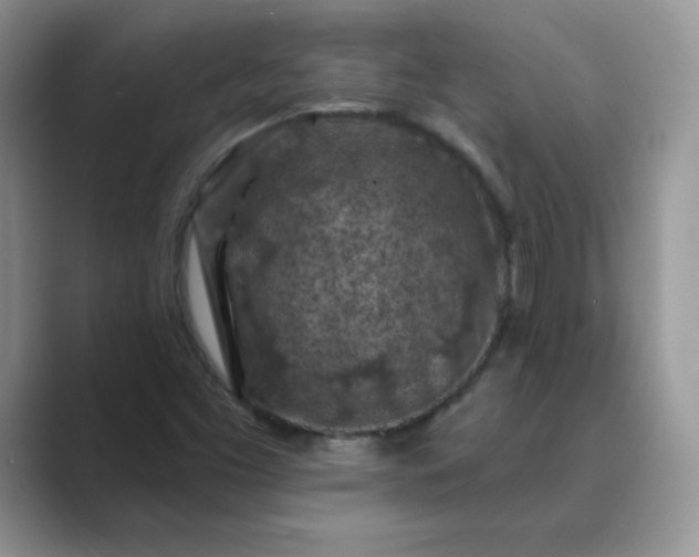 X0000089681453200707051558