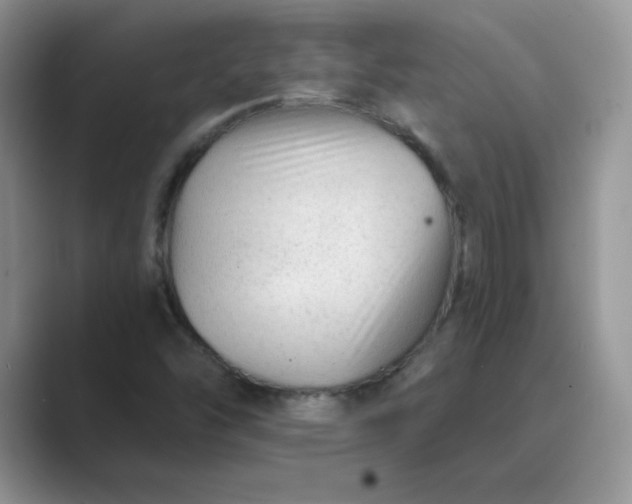 X0000089681454200707051558