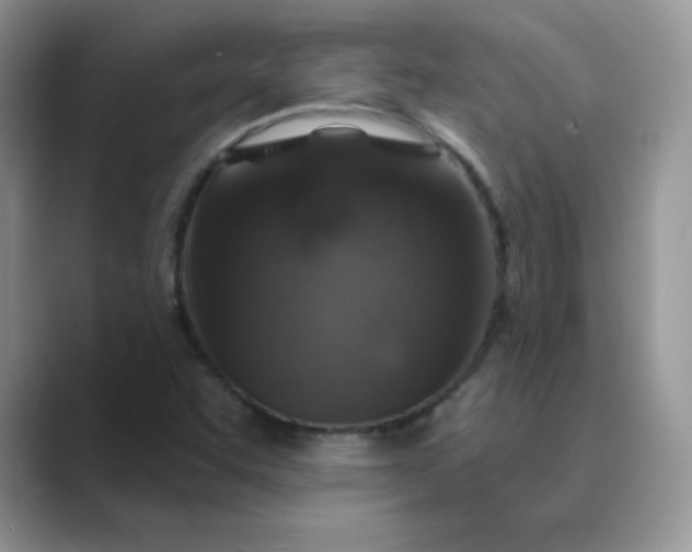 X0000089681455200707051558