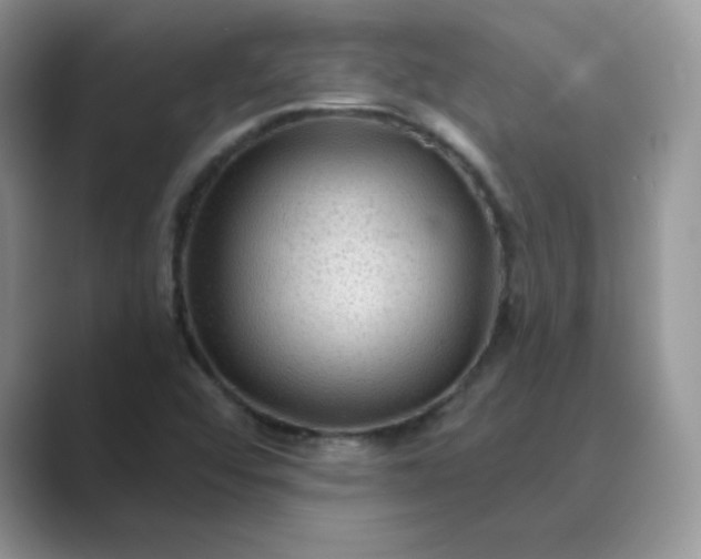 X0000089681456200707051558