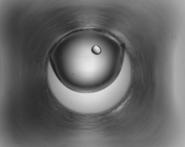 X0000089681457200707051558