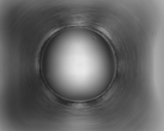 X0000089681458200707051558