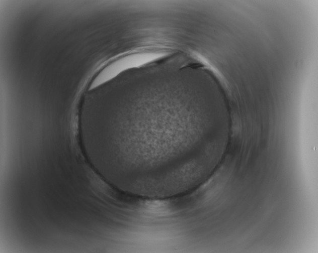 X0000089681459200707051558