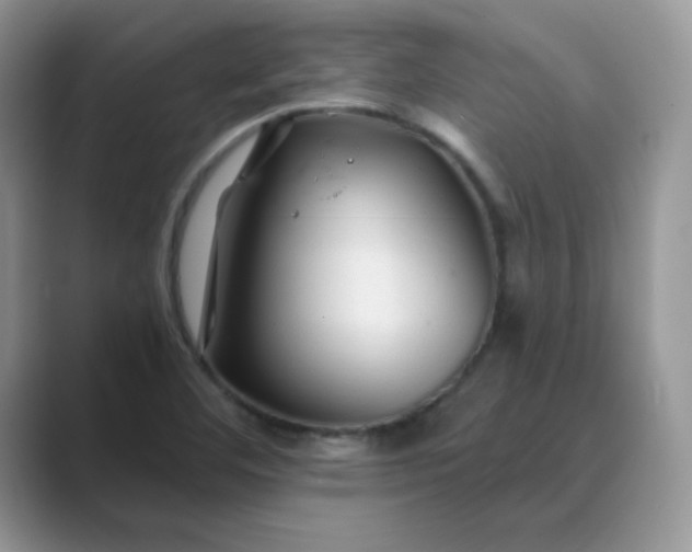 X0000089681460200707051558