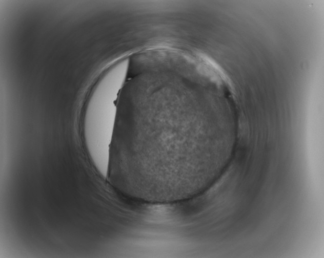 X0000089681461200707051558