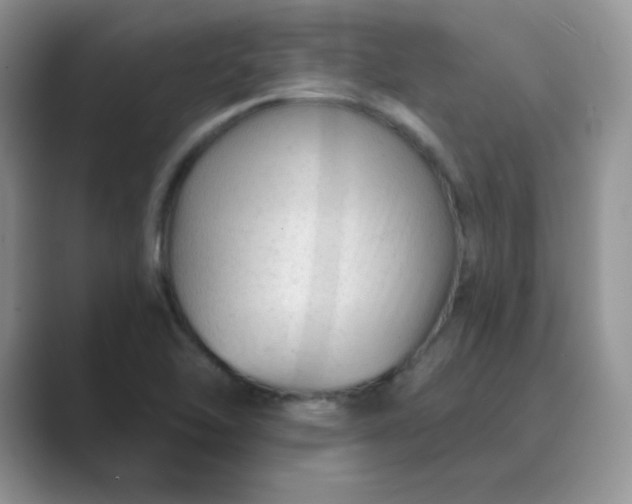 X0000089681462200707051558