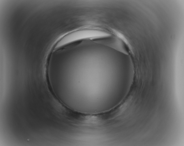 X0000089681463200707051558