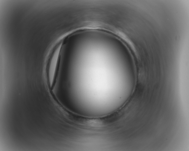 X0000089681464200707051558