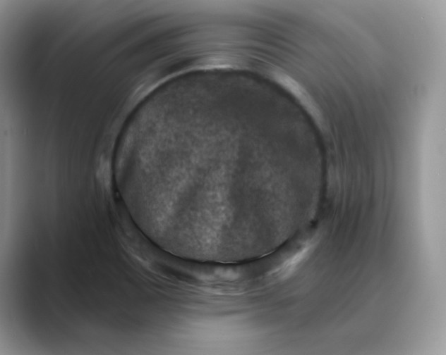 X0000089681465200707051558