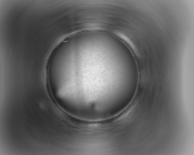 X0000089681467200707051558