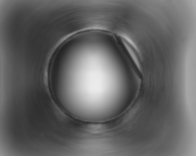 X0000089681468200707051558