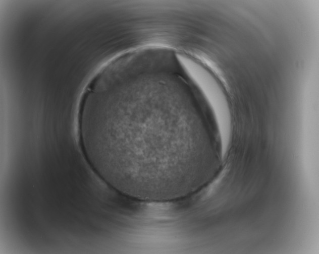 X0000089681469200707051558