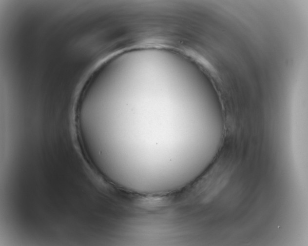X0000089681470200707051557