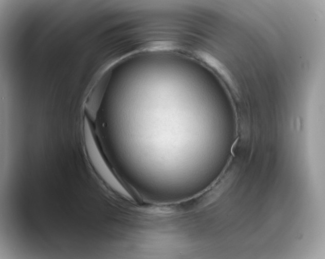 X0000089681473200707051557