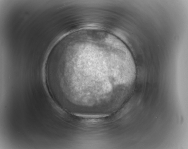X0000089681474200707051557