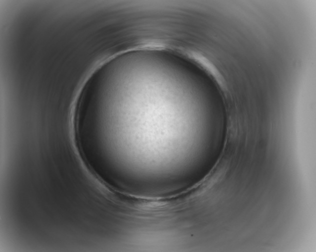 X0000089681475200707051557