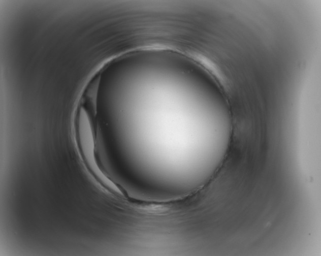 X0000089681476200707051557