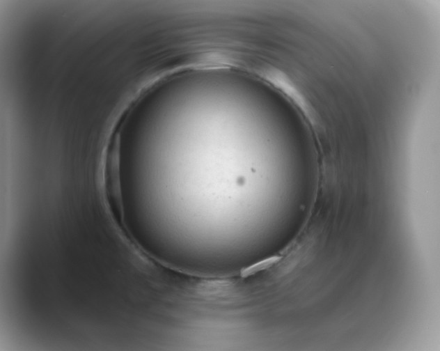 X0000089681477200707051557