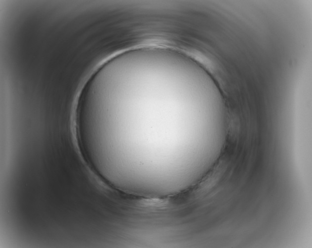 X0000089681478200707051557
