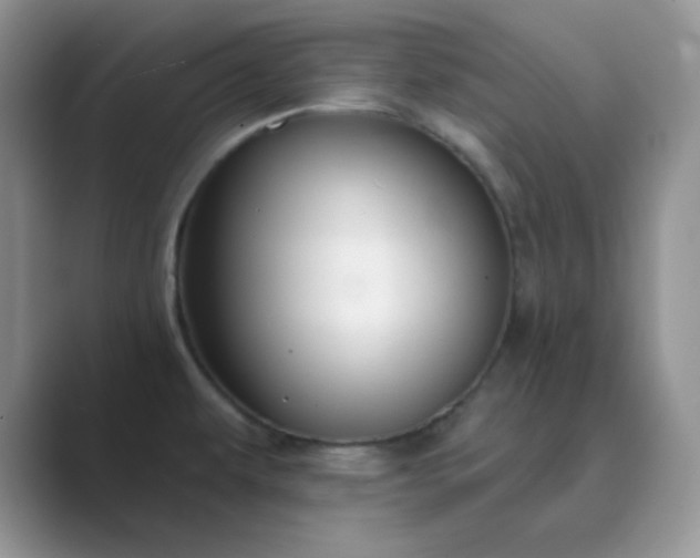 X0000089681479200707051557