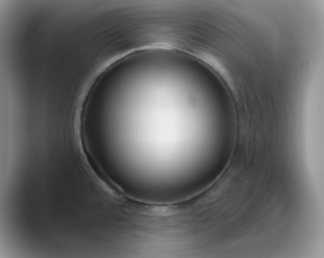 X0000089681480200707051557