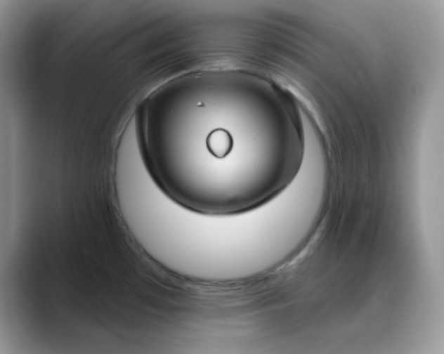 X0000089681481200707051557