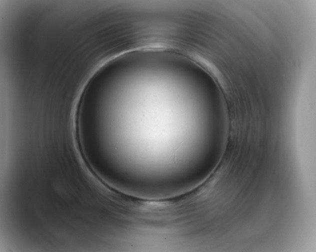 X0000089681483200707051557