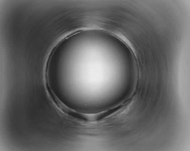 X0000089681485200707051557